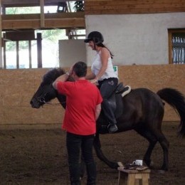 Stages d'équitation islandaise 2015