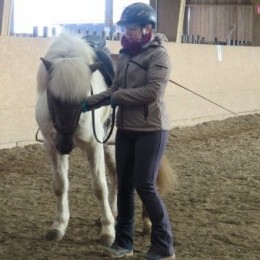 stage d’équitation islandaise du 13 et 14 mars