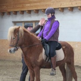 stage d’équitation islandaise du 13 et 14 mars