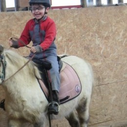 stage d’équitation islandaise du 13 et 14 mars