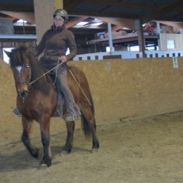 stage d’équitation islandaise du 13 et 14 mars