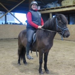 stage d’équitation islandaise du 13 et 14 mars