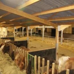 Nouveau batiment pour la ferme