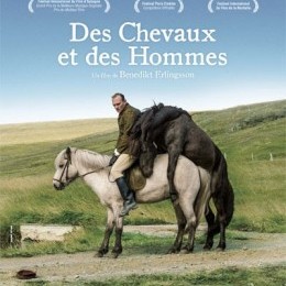 Un film sur les chevaux islandais !