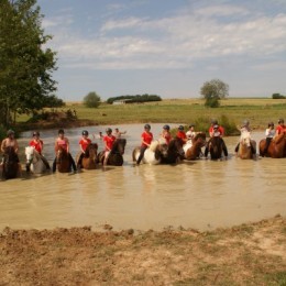 Concours interne 2014