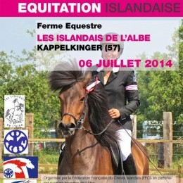 Concours d'équitation islandaise 2014