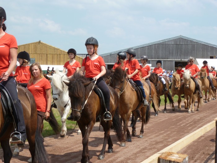 Equitation classique