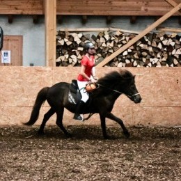 Equitation classique