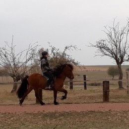 DROOPI de l'albe DROOPI de l'albe