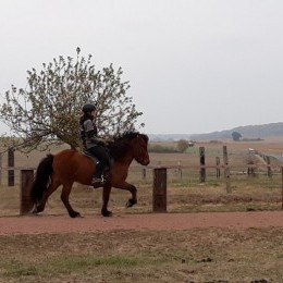 DROOPI de l'albe DROOPI de l'albe