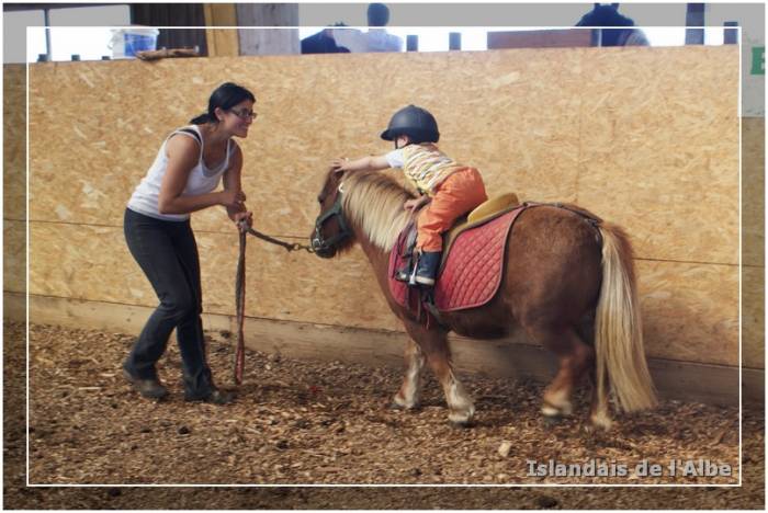 Baby Poney Baby Poney