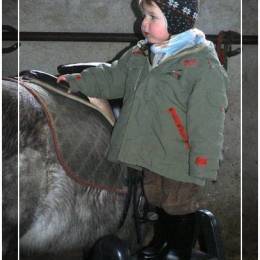 Baby Poney Baby Poney