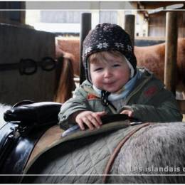 Baby Poney Baby Poney