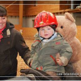 Baby Poney Baby Poney