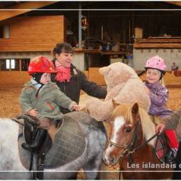 Baby Poney Baby Poney