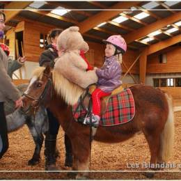 Baby Poney Baby Poney