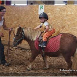 Baby Poney Baby Poney