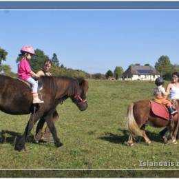 Baby Poney Baby Poney