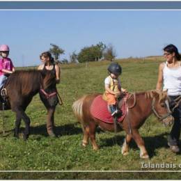 Baby Poney Baby Poney