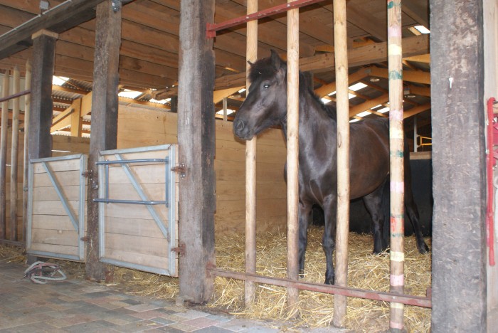 Pension pour chevaux