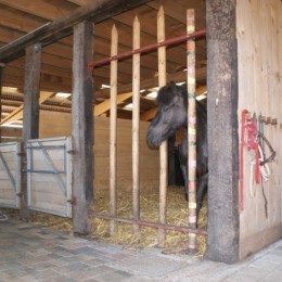 Pension pour chevaux