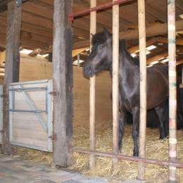 Pension pour chevaux