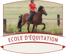 Ecole d'équitation